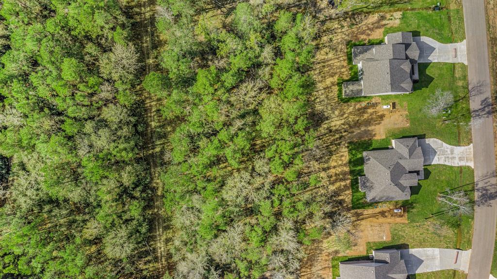11654 Wilgers Way Way, Willis, Texas image 31