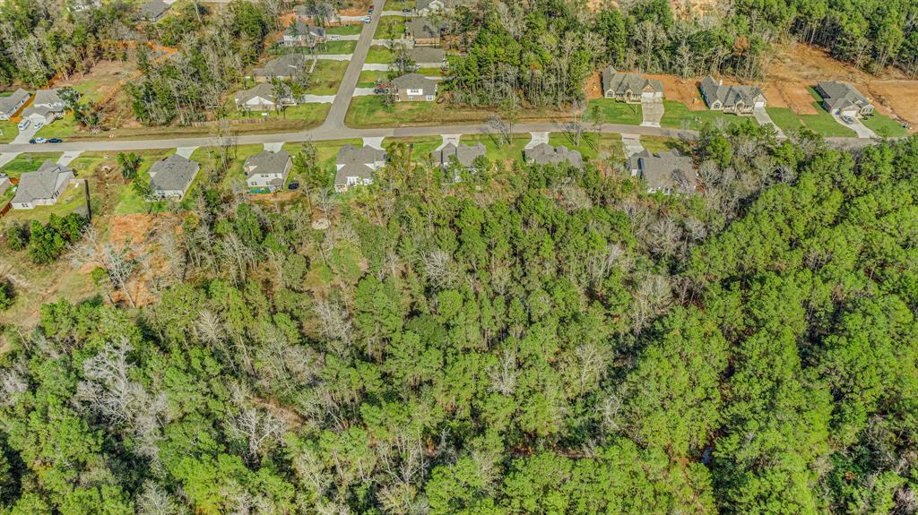 11654 Wilgers Way Way, Willis, Texas image 34