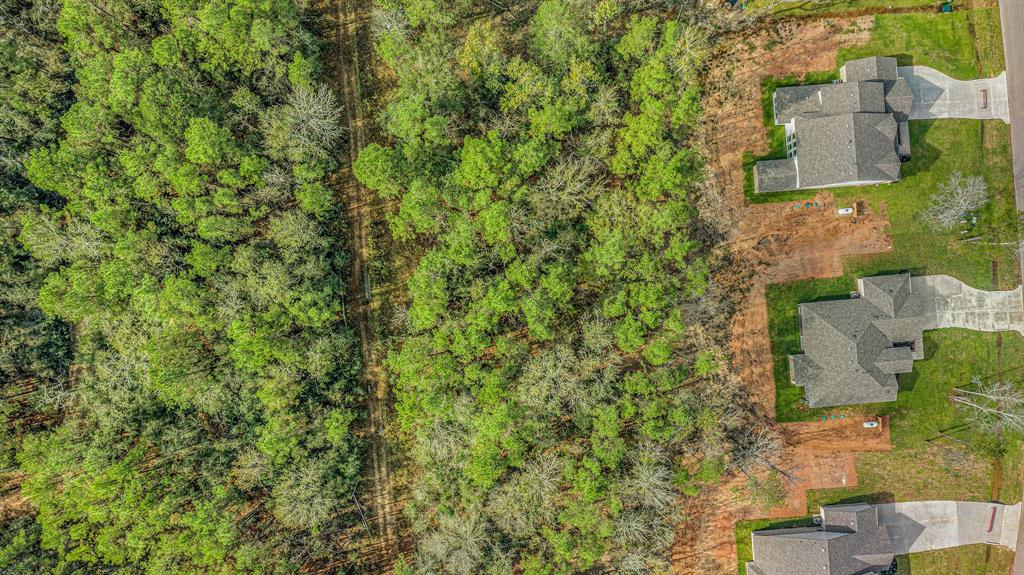 11654 Wilgers Way Way, Willis, Texas image 32