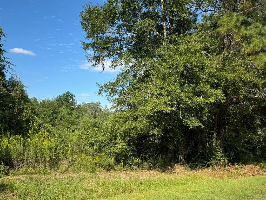 Lot 75 Pine Park Boulevard, Orange, Texas image 4