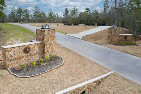 10521 Chapter Drive Willis TX 77378