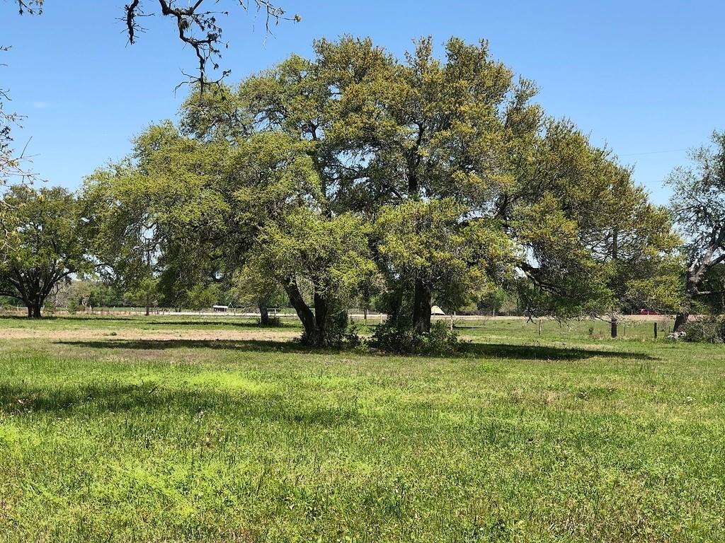 Lot 6 Pvt 1671, Hallettsville, Texas image 1