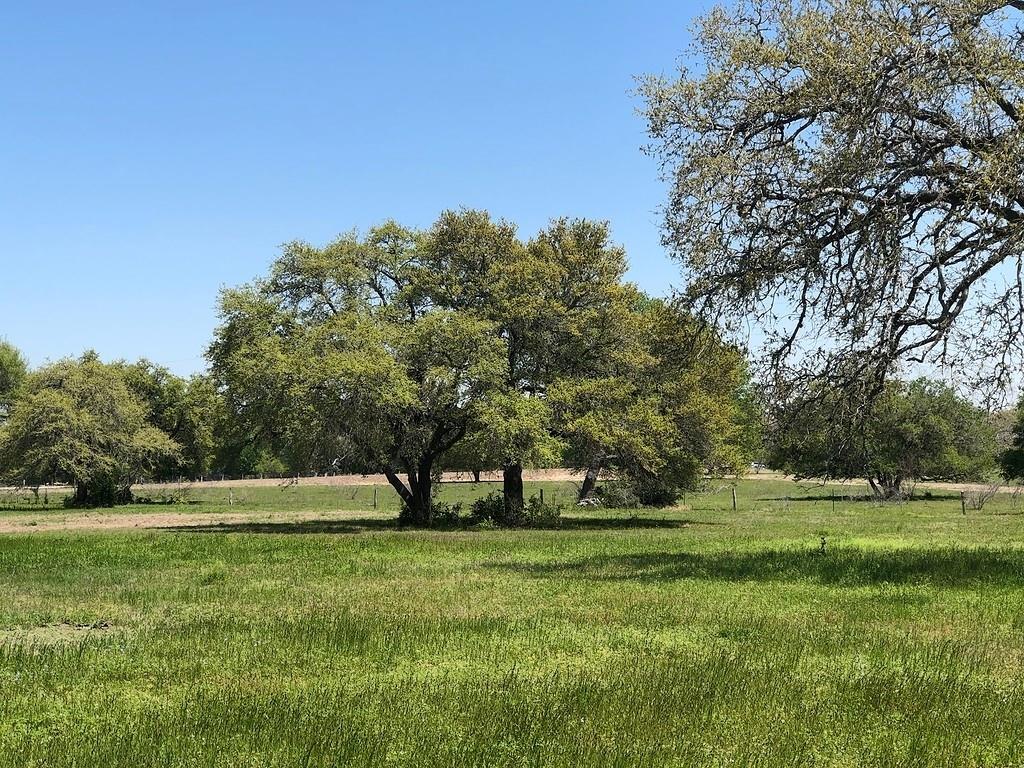 Lot 6 Pvt 1671, Hallettsville, Texas image 2