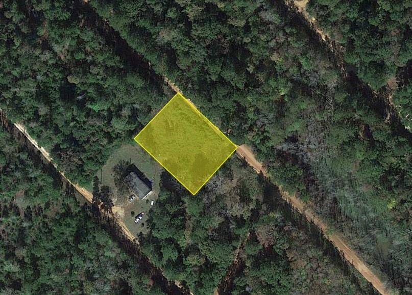 1544 Ole Long Pull Road, Livingston, Texas image 1