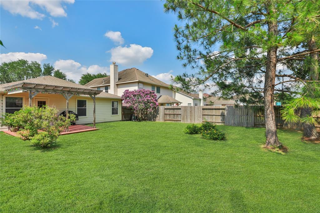19119 Mossy Hedge Lane, Katy, Texas image 23