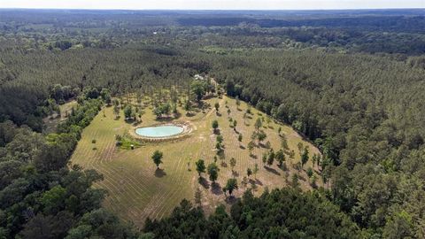 Vacant Land For Sale - 1068 County Road 3200<br/> Colmesneil, TX 75938