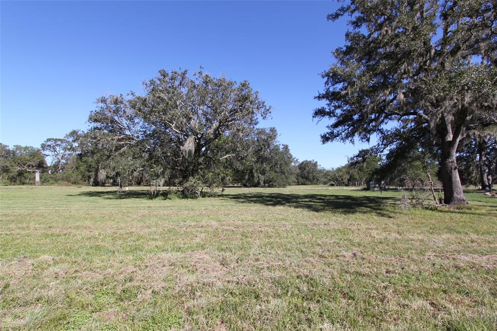 381 Horse Shoe Trail, Angleton, Texas image 8