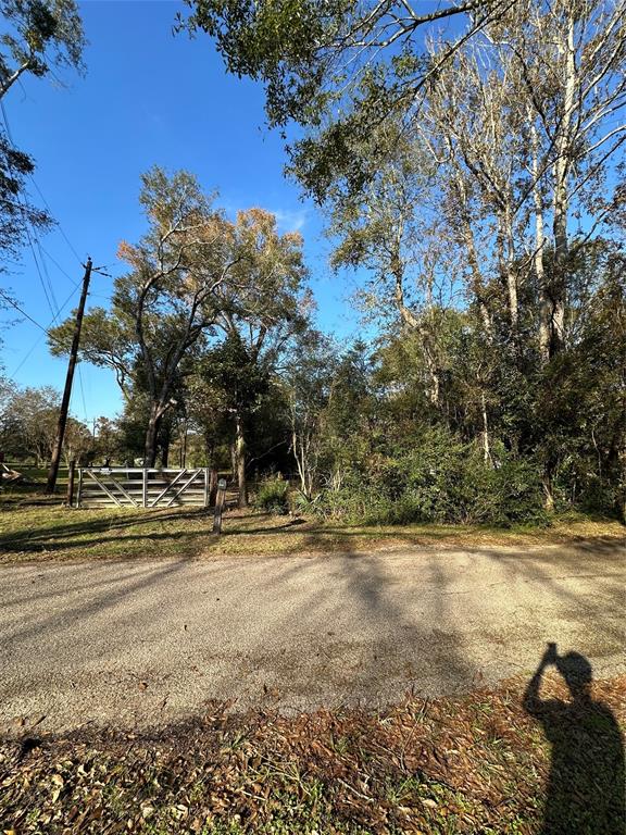 23811 #B Johnson Road, New Caney, Texas image 8