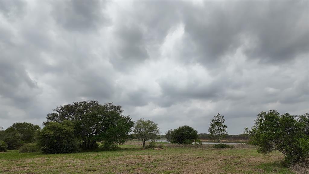 000 Pintail Lane, Columbus, Texas image 1