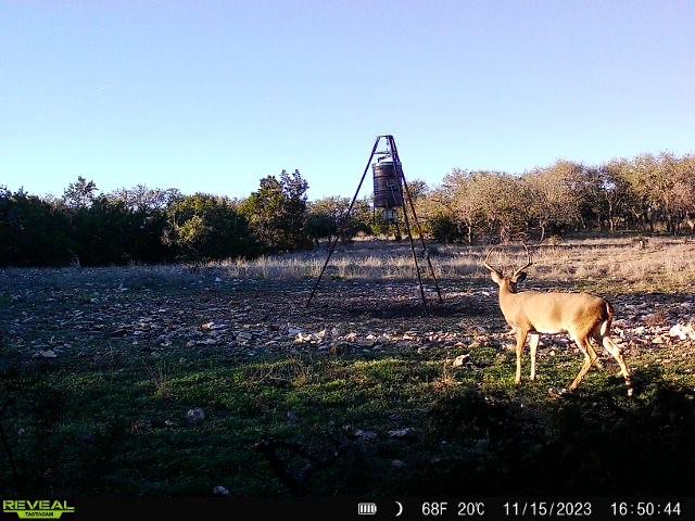 249 Laird Road, Junction, Texas image 16