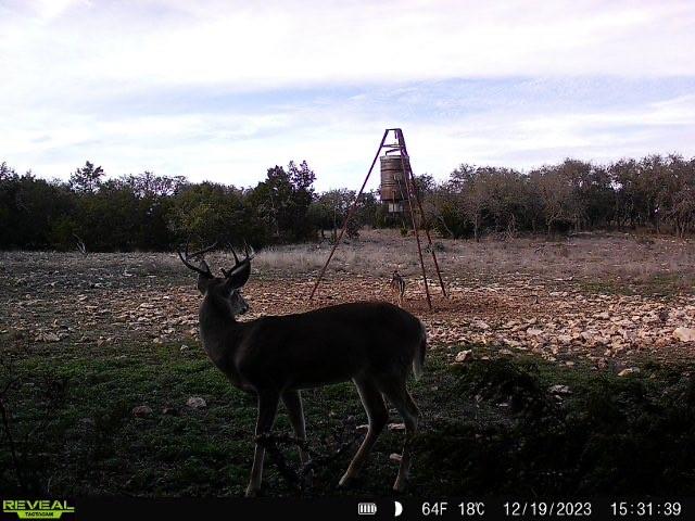 249 Laird Road, Junction, Texas image 18
