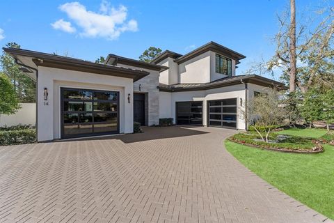 14 Kingscote Way The Woodlands TX 77382