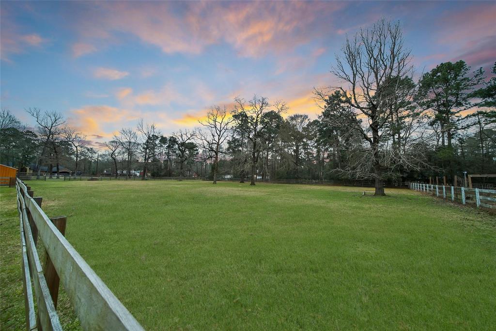 40311 De Sota Road, Magnolia, Texas image 41