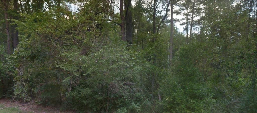 Photo of 0 Idle Wild Road, New Caney, TX 77357 (MLS # 9445533)