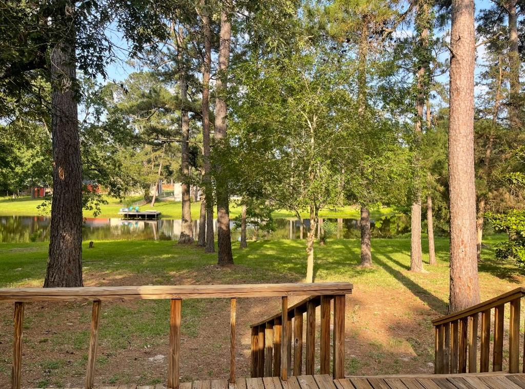 29090 W Lake Drive, Hempstead, Texas image 3