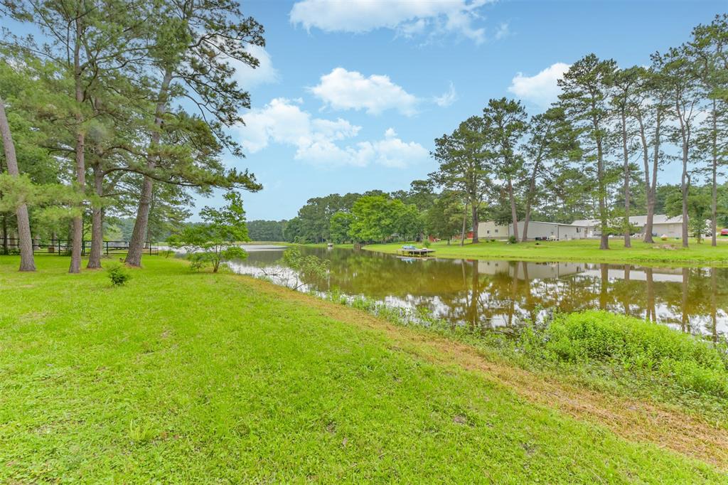 29090 W Lake Drive, Hempstead, Texas image 47