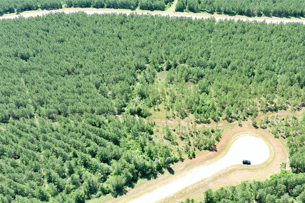 15765 Grey Hawk Lane, Willis, Texas image 2