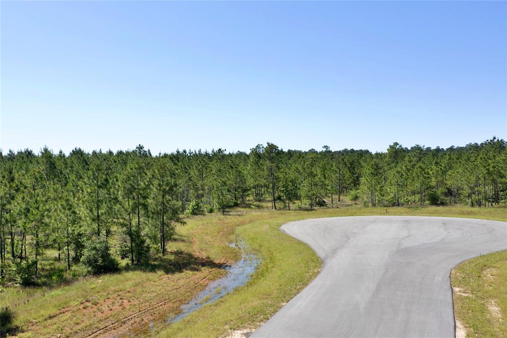 15765 Grey Hawk Lane, Willis, Texas image 7
