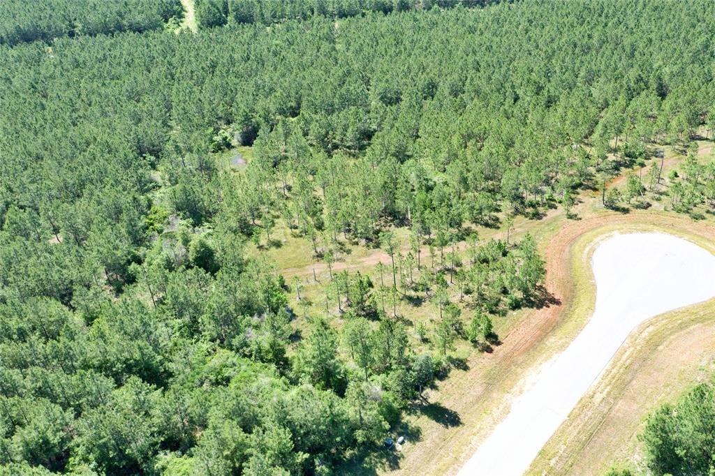 15765 Grey Hawk Lane, Willis, Texas image 12