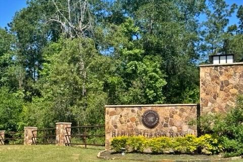 15765 Grey Hawk Lane, Willis, Texas image 1