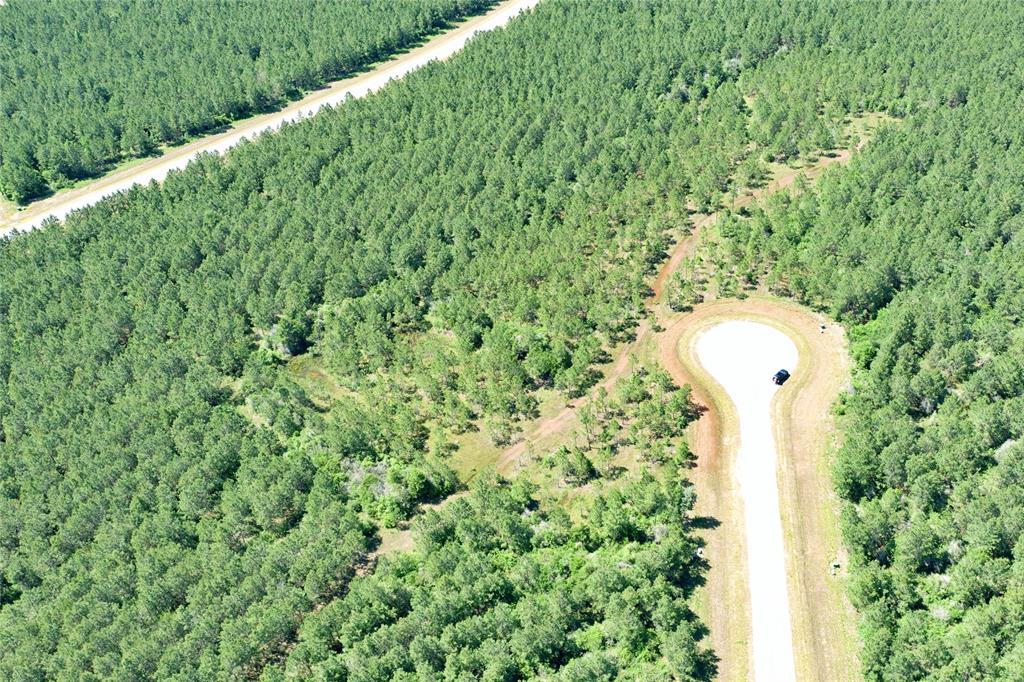 15765 Grey Hawk Lane, Willis, Texas image 3