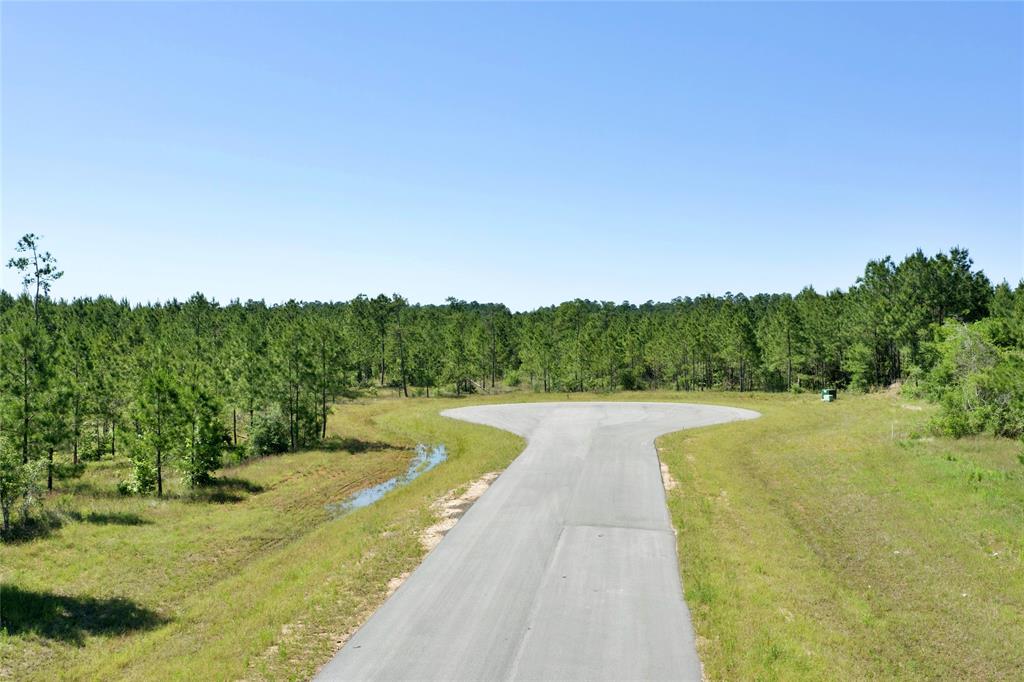 15765 Grey Hawk Lane, Willis, Texas image 5