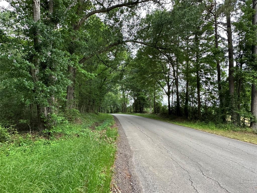Bailey Grove Road, Montgomery, Texas image 3