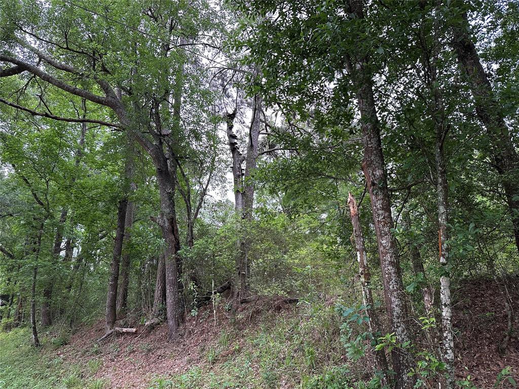 Bailey Grove Road, Montgomery, Texas image 6