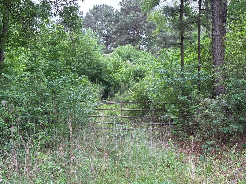 Bailey Grove Road, Montgomery, Texas image 1