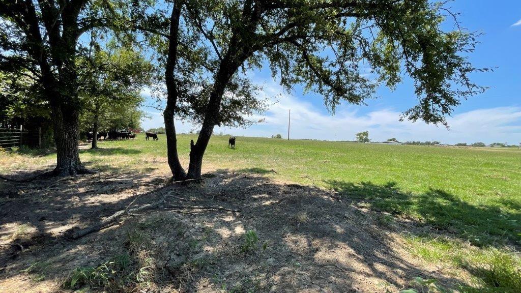 TBD Fm 2954 -white Rock Rd, Bremond, Texas image 6