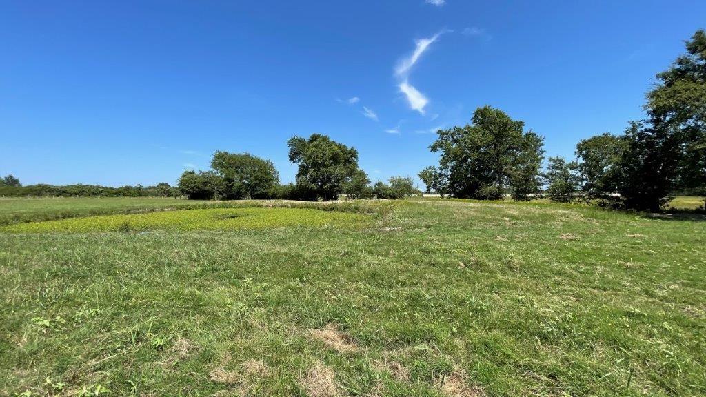 TBD Fm 2954 -white Rock Rd, Bremond, Texas image 8