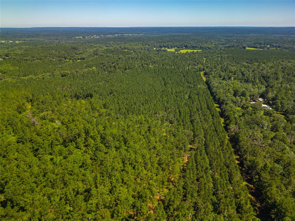 County Road 383, Palestine, Texas image 16