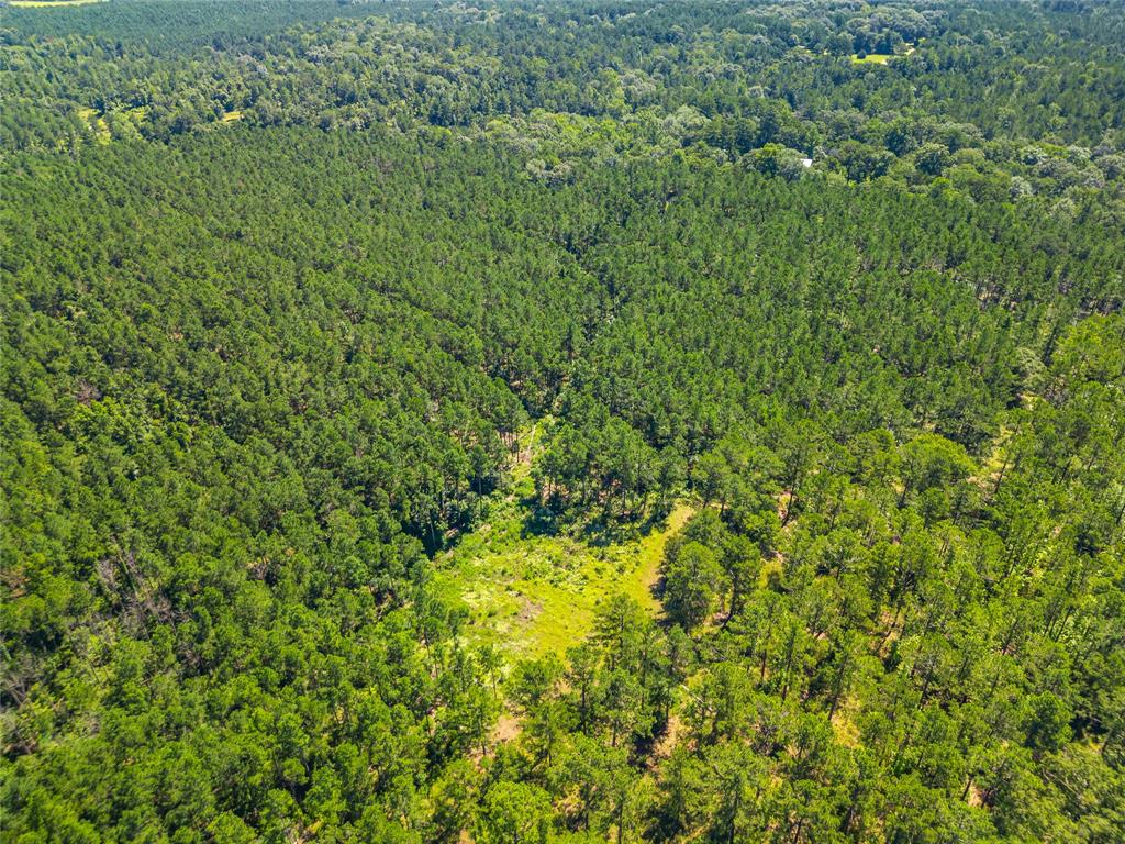 County Road 383, Palestine, Texas image 17