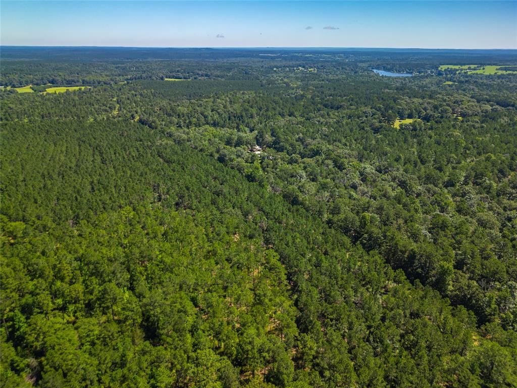 County Road 383, Palestine, Texas image 15