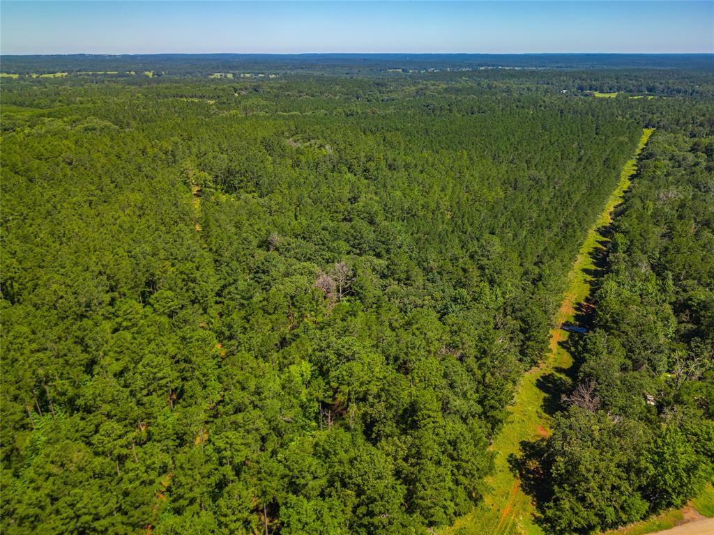 County Road 383, Palestine, Texas image 4