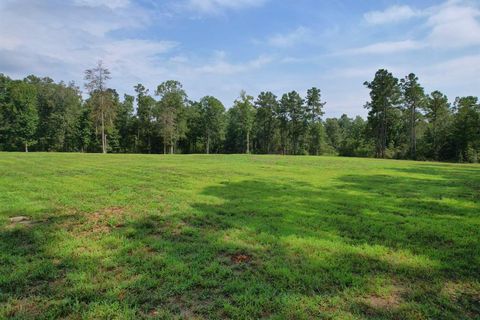 Photo of 663 The Ole Barney Road, Livingston, TX 77351 (MLS # 35647214)