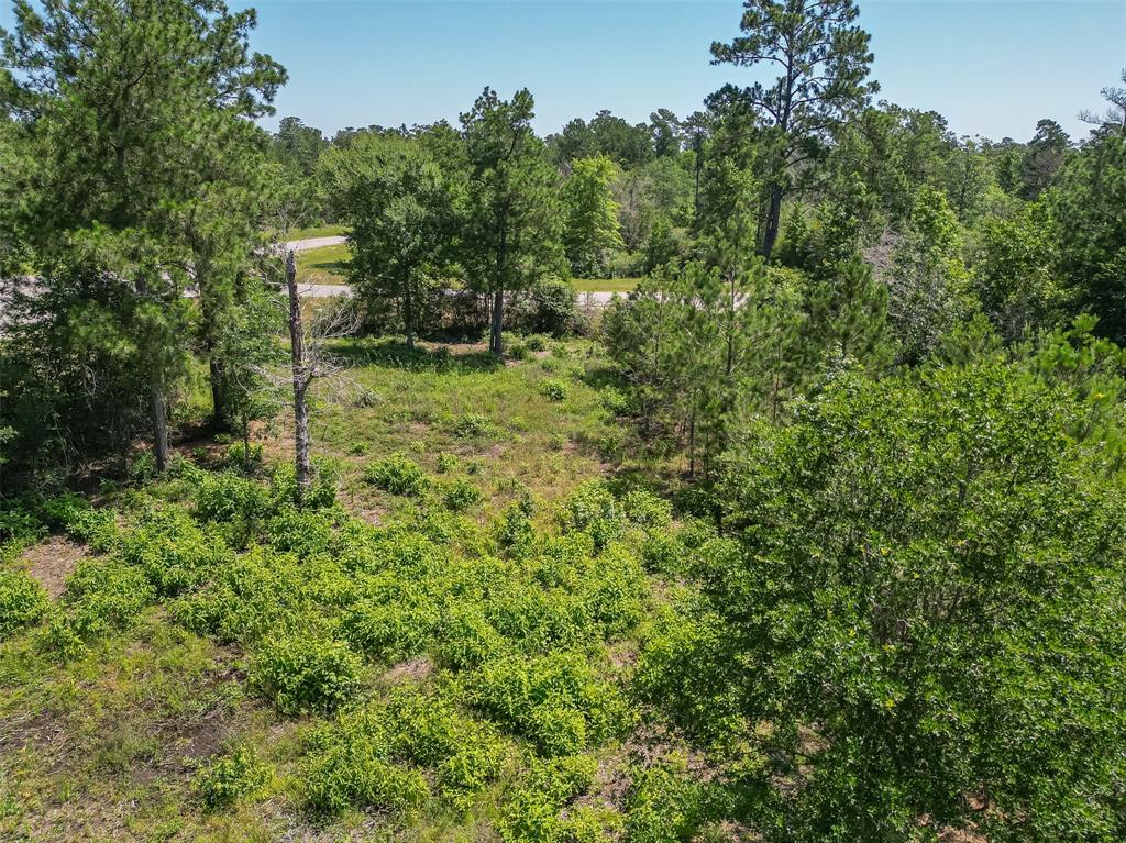 123 Gypsum Road, Willis, Texas image 11