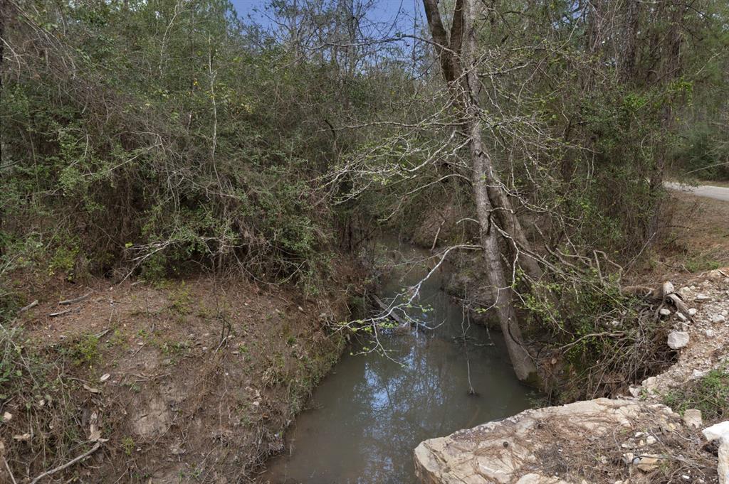 TBD Weaver Bend Road, Zavalla, Texas image 4