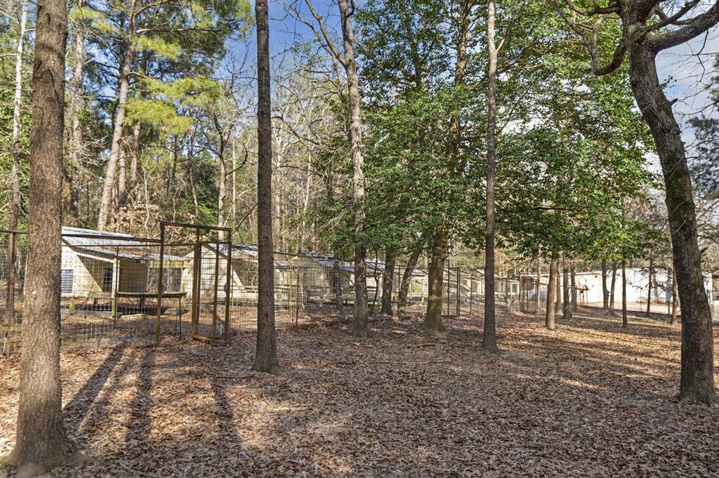 TBD Weaver Bend Road, Zavalla, Texas image 37