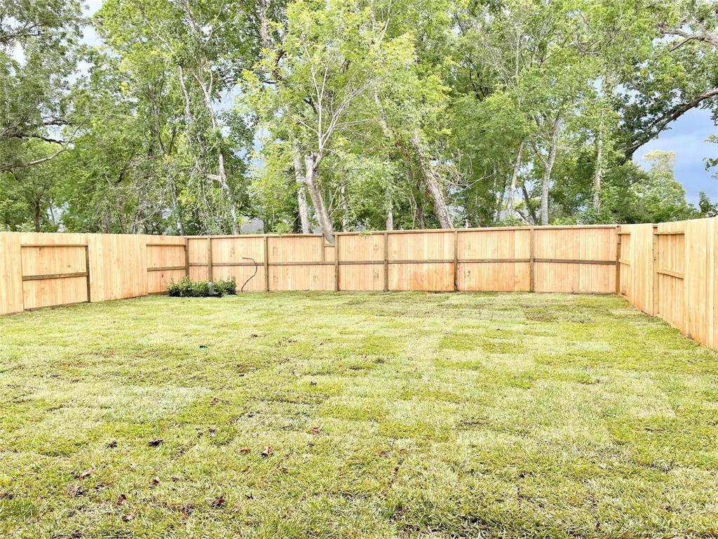 1726 Waters Branch Drive, Missouri City, Texas image 26
