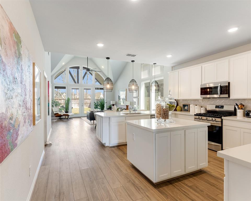 1726 Waters Branch Drive, Missouri City, Texas image 1