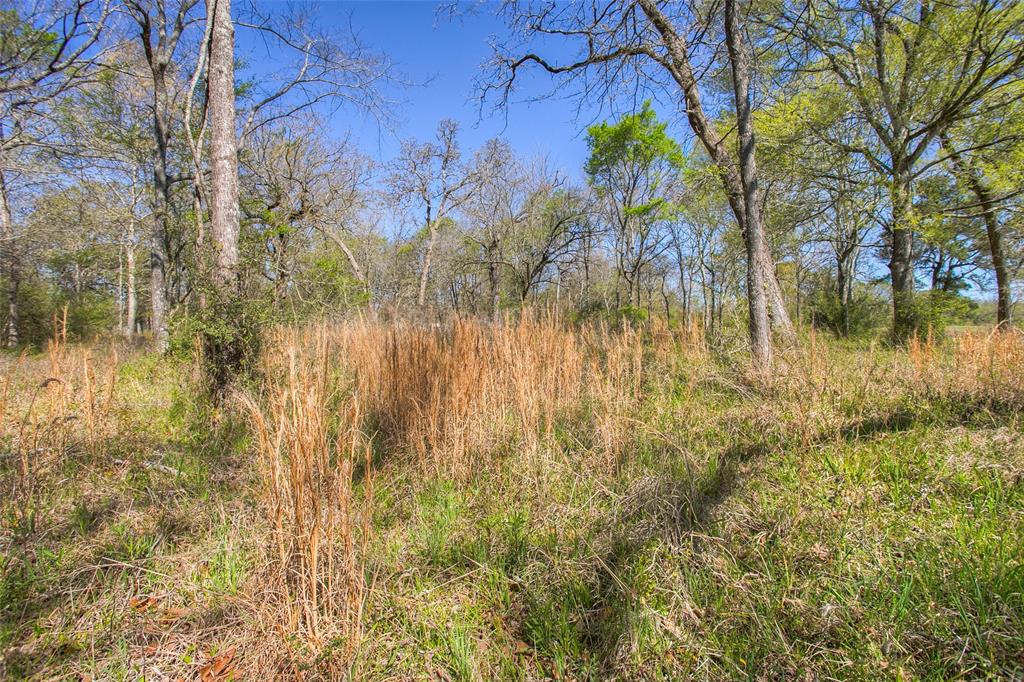 1547 Fm-1375, Huntsville, Texas image 21