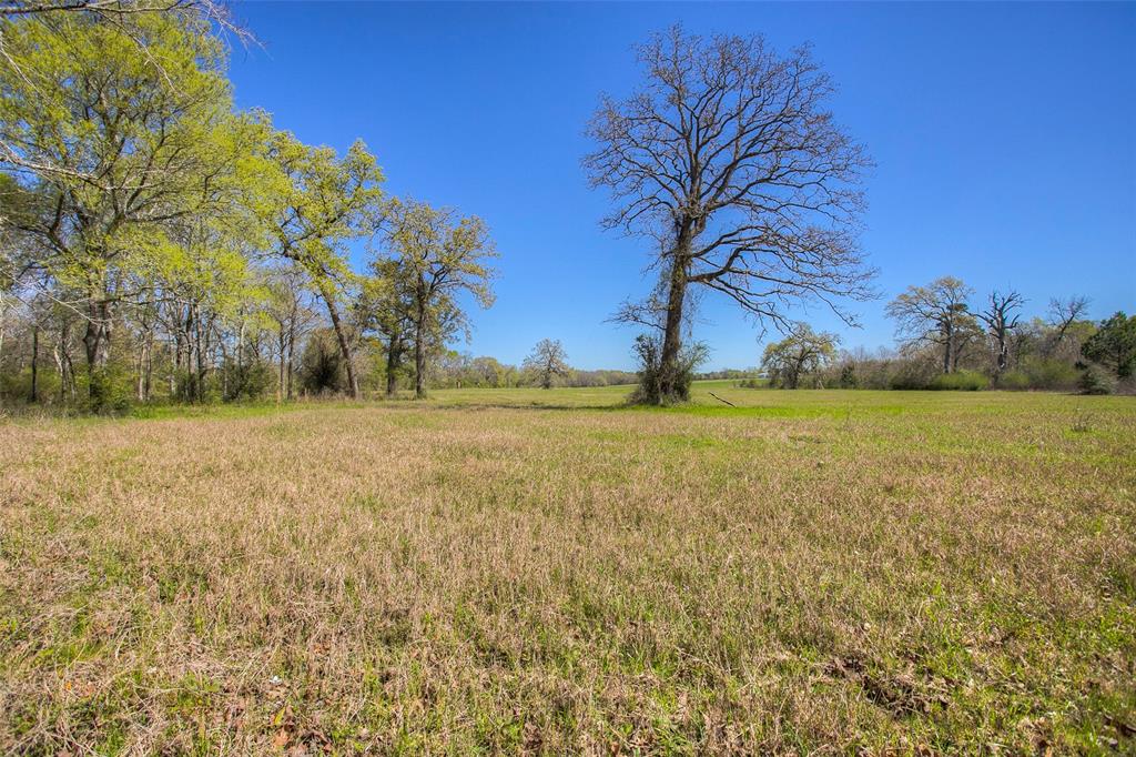 1547 Fm-1375, Huntsville, Texas image 27
