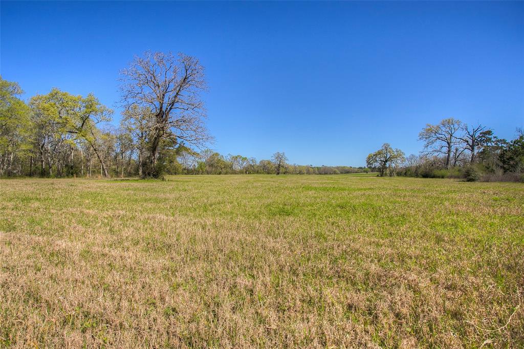 1547 Fm-1375, Huntsville, Texas image 28