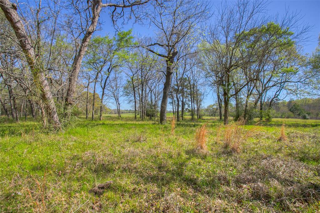 1547 Fm-1375, Huntsville, Texas image 23