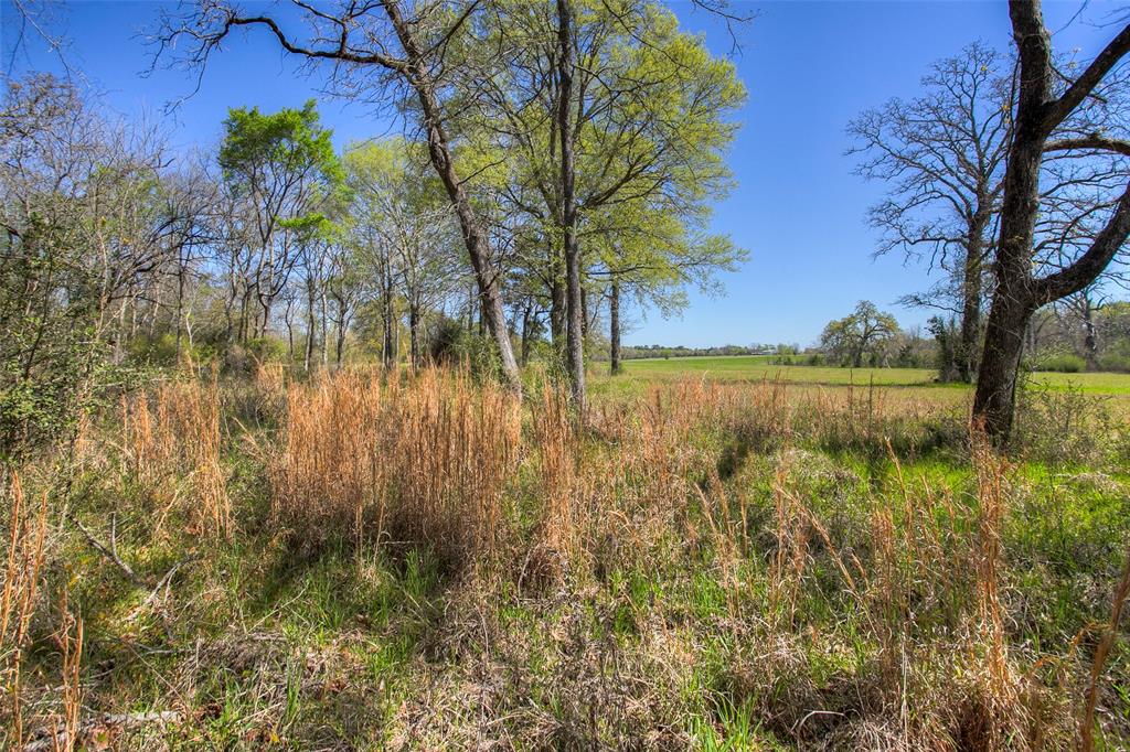 1547 Fm-1375, Huntsville, Texas image 22