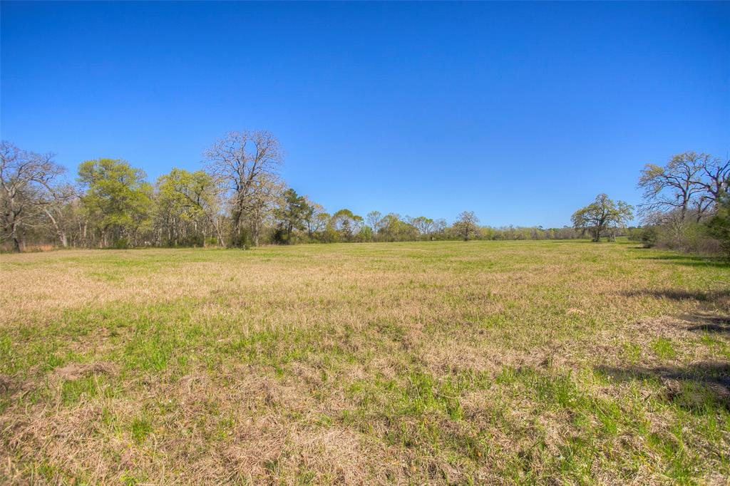 1547 Fm-1375, Huntsville, Texas image 29