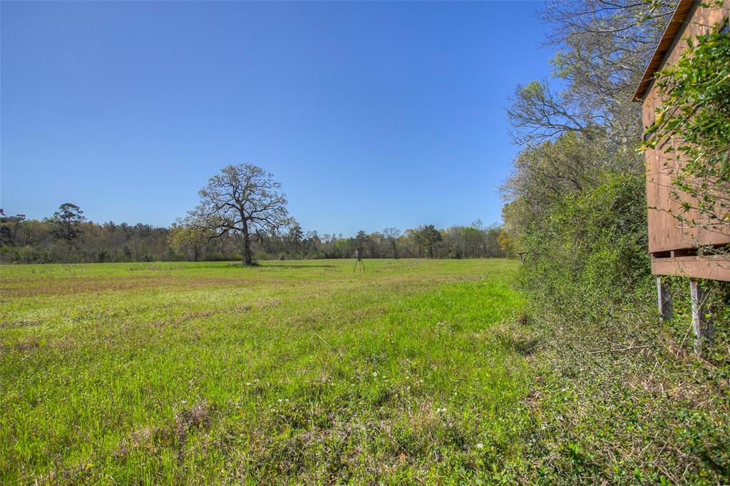 1547 Fm-1375, Huntsville, Texas image 19
