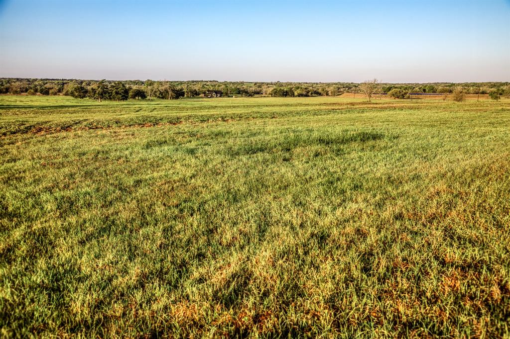 Tract 3 Fieldcrest Ln, Burton, Texas image 4