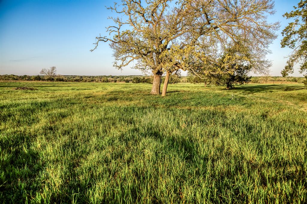 Tract 3 Fieldcrest Ln, Burton, Texas image 2